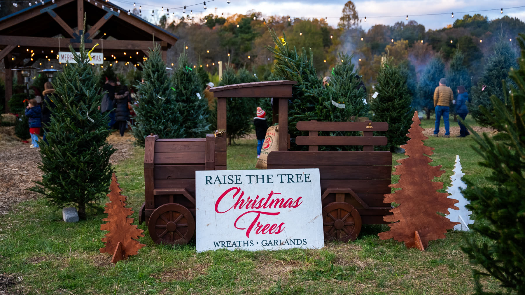 Raise the Tree Christmas Trees sign at the farm under string lights