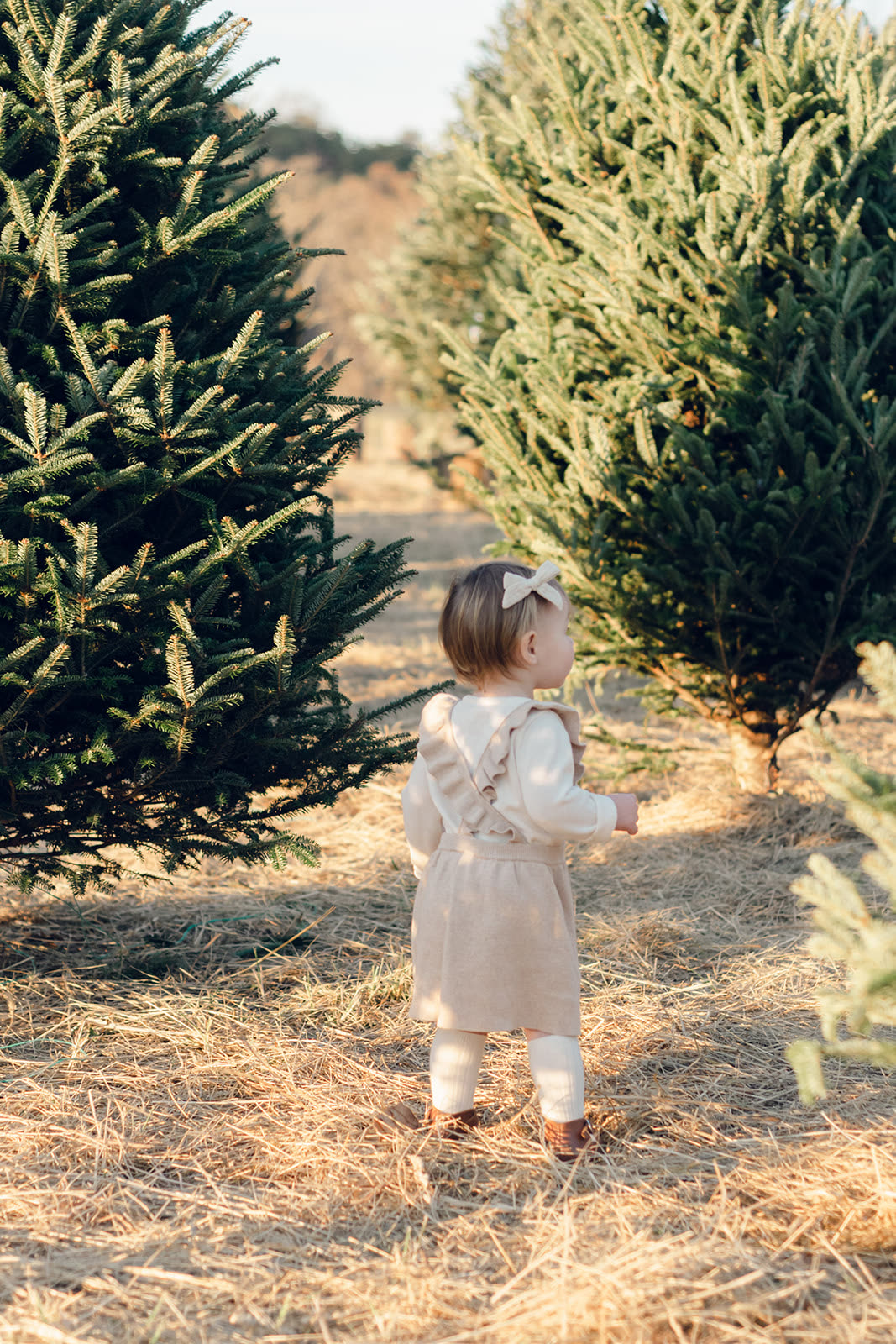 A toddler walking between Fraser Firs at Raise the Tree